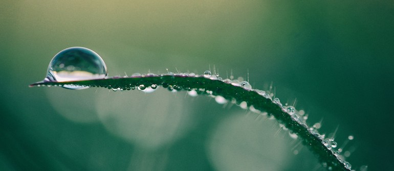 Best of 2024: CAST AI Helps Cost-Optimize LLMs Running on Kubernetes